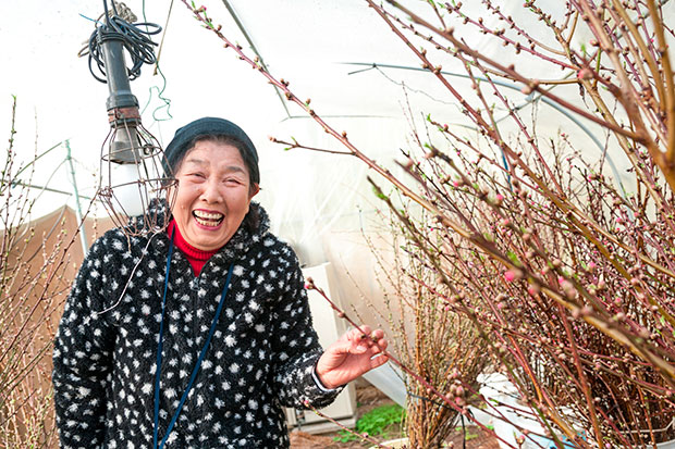 「いろどり」（つまもの）農家　　西蔭幸代さん